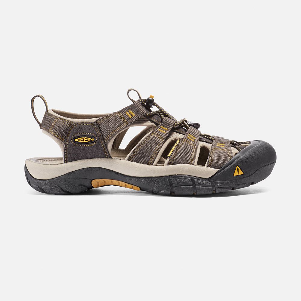 Sandales de Randonnée Keen Homme Marron | Newport H2 | BJRHU-2053